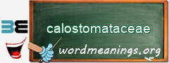 WordMeaning blackboard for calostomataceae